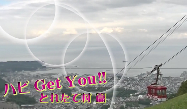 Cutie Pai まゆちゃん